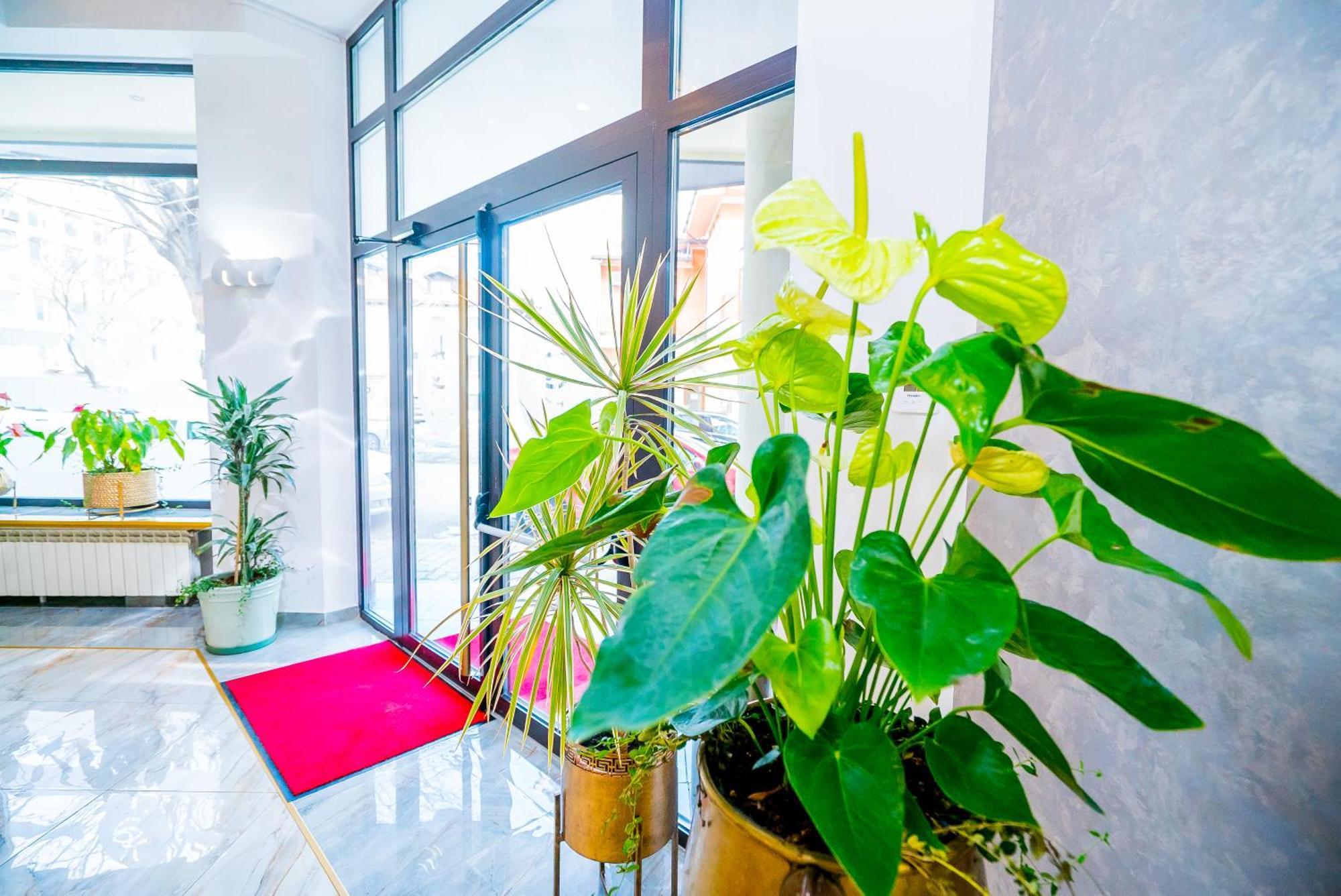 Guci Hotel คอนสตันซา ภายนอก รูปภาพ